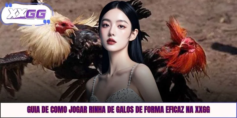 Guia De Como Escolher Um Bom Galo De Briga Na XXGG