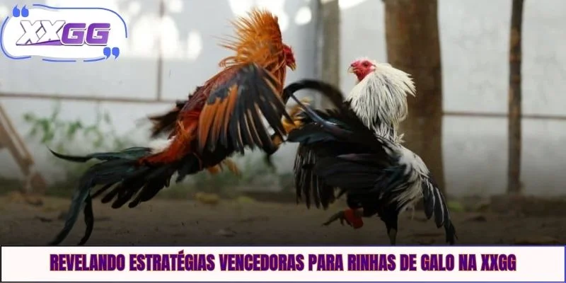 Revelando estratégias vencedoras para rinhas de galo na XXGG